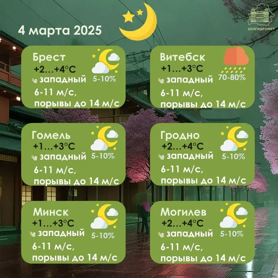 У бліжэйшыя дні амаль па ўсёй Беларусі чакаецца моцны вецер