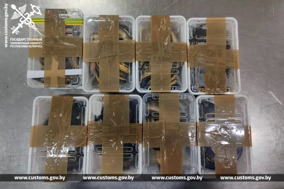 З аўтобуса з Польшчы беларускія мытнікі зноў выцягнулі пітонаў