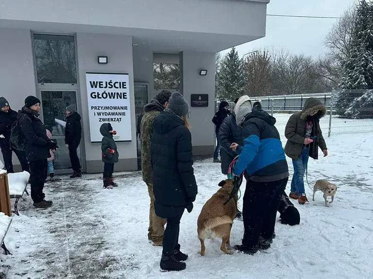 Навіны пра сабак: палякі ім далі дом, а карэйцы не будуць есці — #ІхНоравы