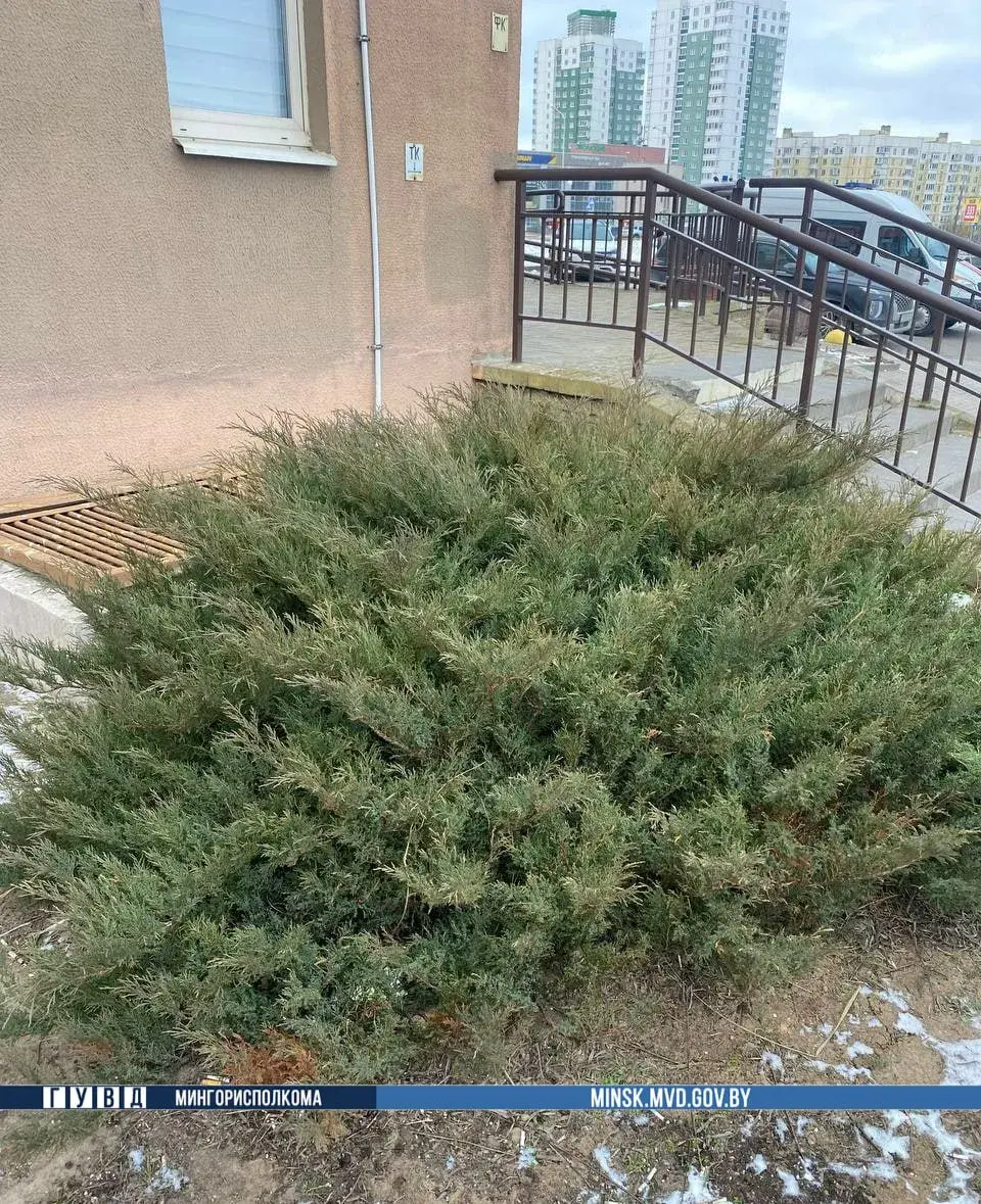 У Мінску з акна 15-га паверха выпаў паўтарагадовы хлопчык 