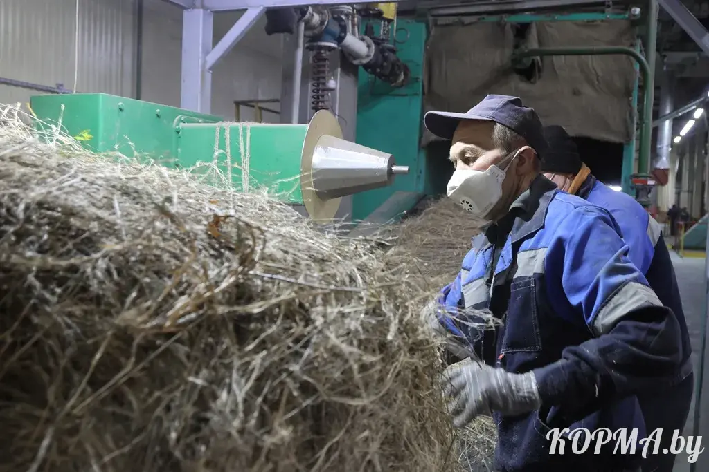 Больш за палову льнозаводаў у Беларусі чакае мадэрнізацыя