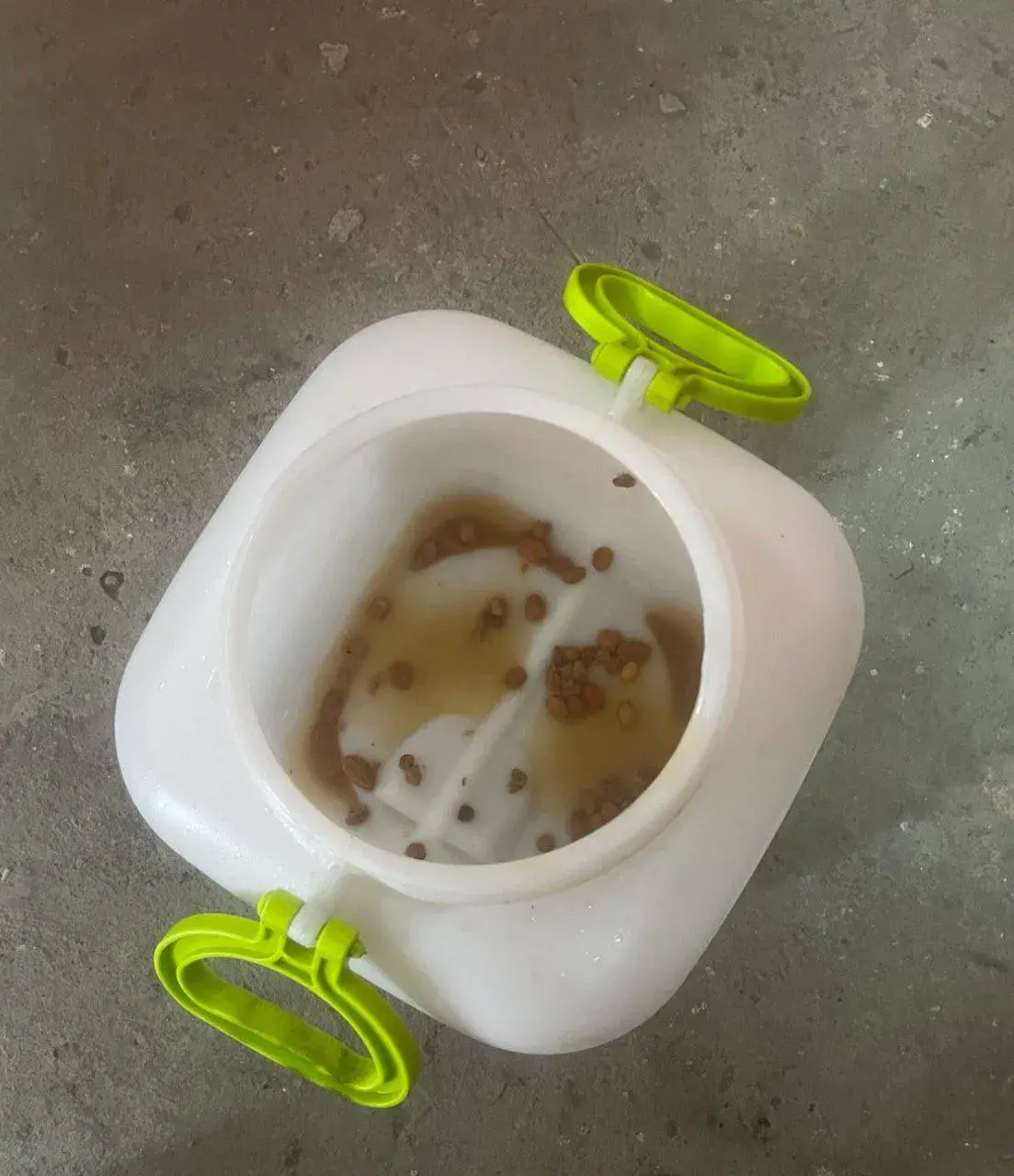 "Летась тушылі пажар, а бруднае адзенне працягвае вісець" — праверылі лясгас