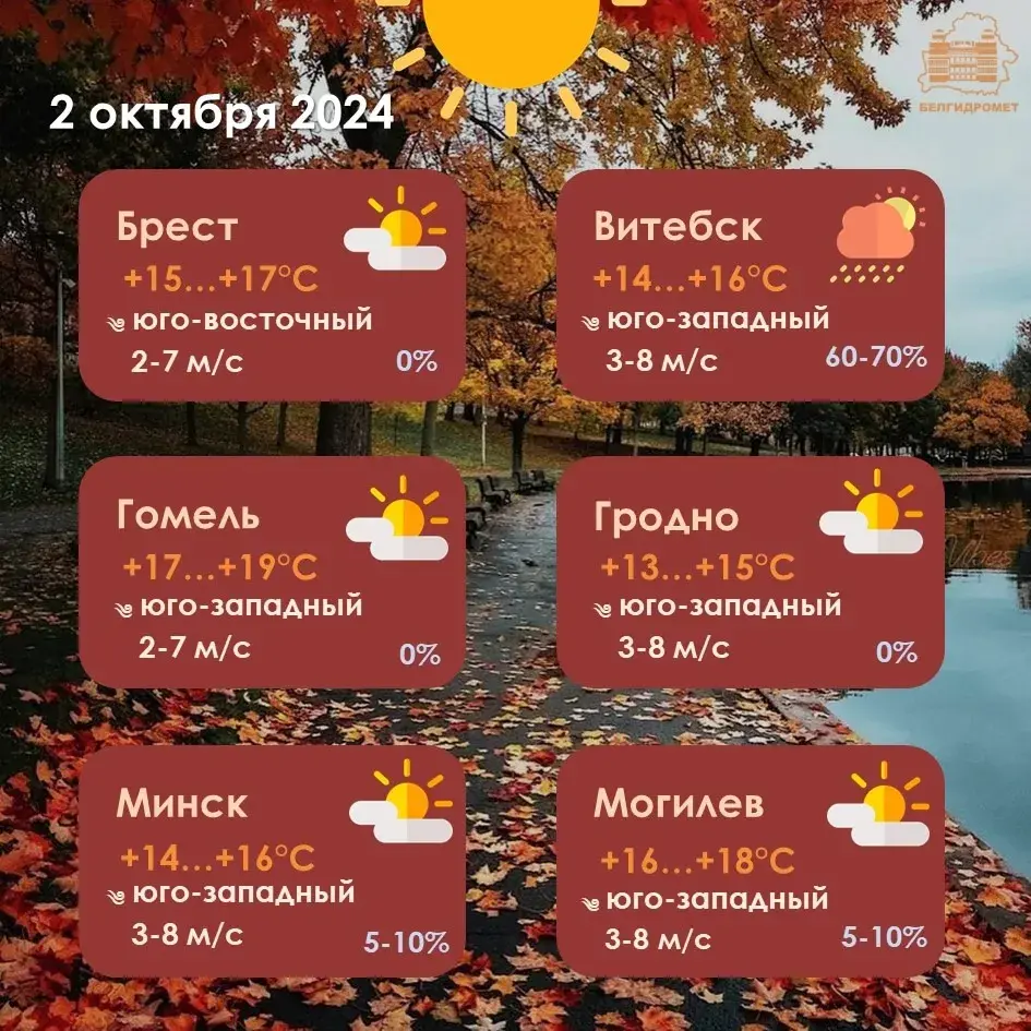 У сераду амаль па ўсёй Беларусі пройдуць дажджы