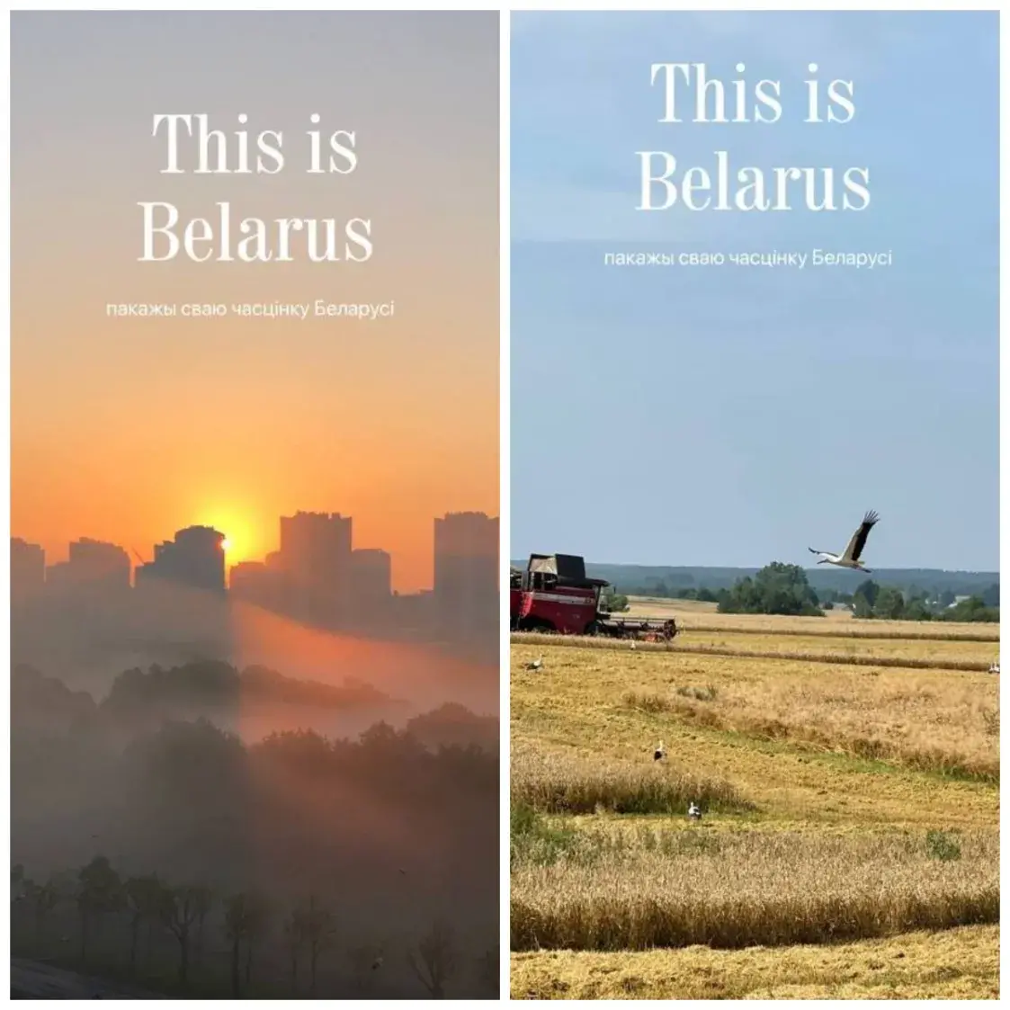 В Instagram — новый флешмоб. Смотрите, какую красоту выкладывают белорусы