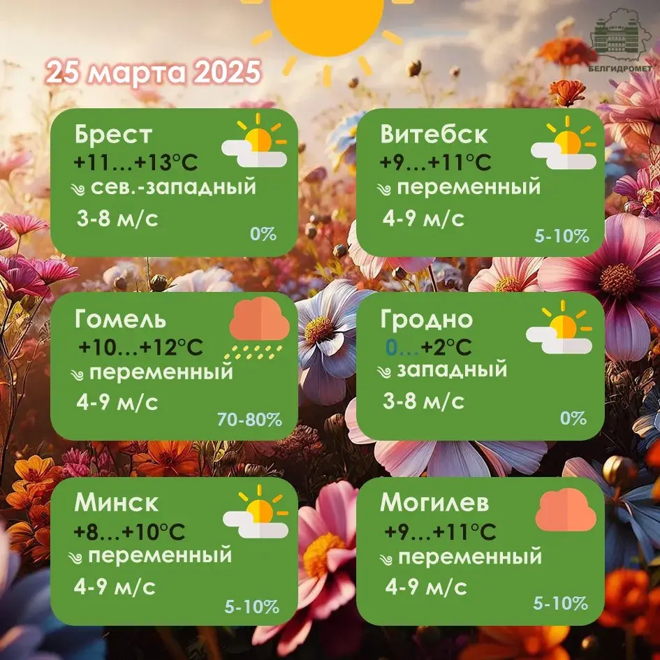 25 сакавіка ў Беларусі працягнуцца дажджы