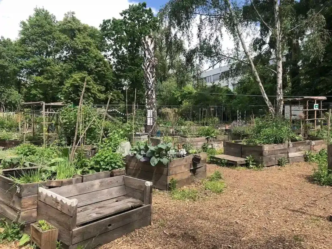 Советы тем, кто хочет завести огородик в городе