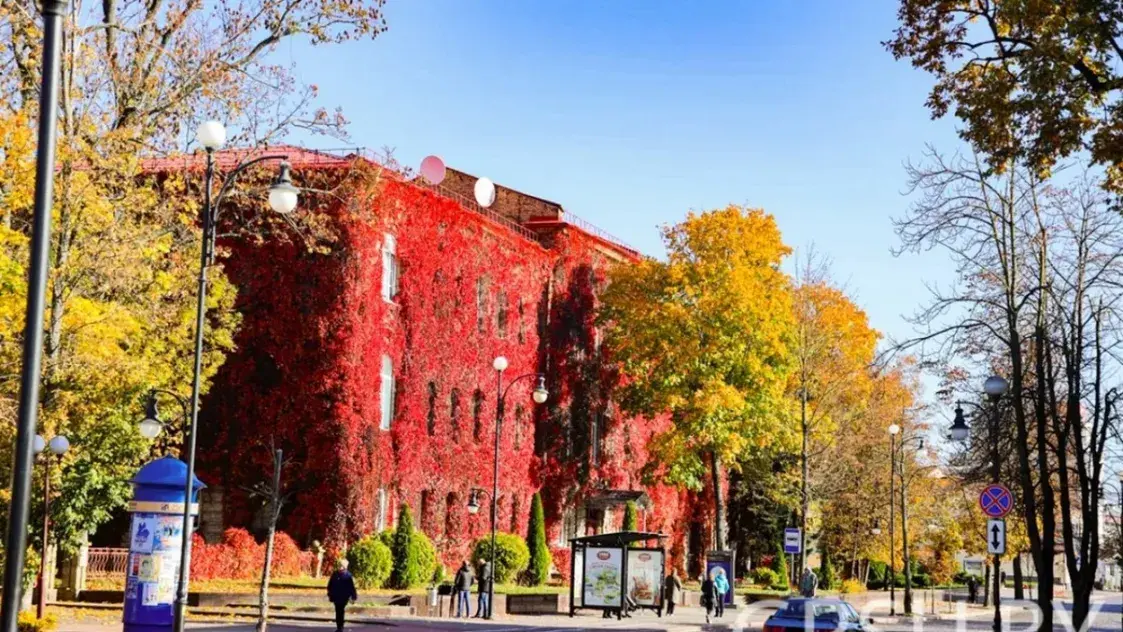 Проректор по безопасности в ГрГУ — Алексей Валентинович Беззубик