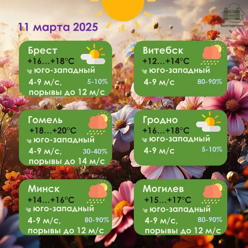 У аўторак на поўдні Беларусі будзе да 20 градусаў цяпла