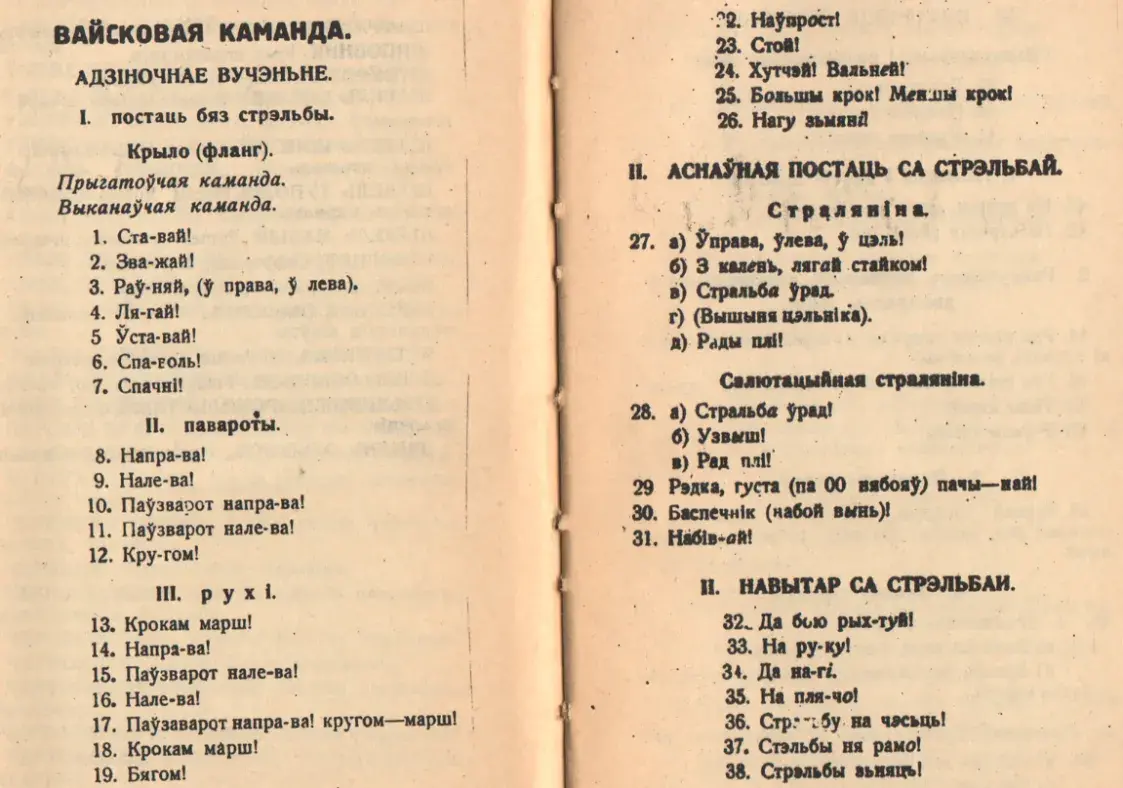 Сабраць войска, вывучыць фізіку і прызнацца ў каханні: па-беларуску можна ўсё