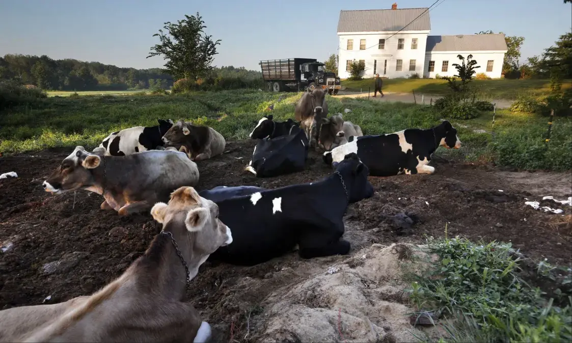 Паліва, угнаенні, біягаз — як у іншых краінах абыходзяцца са сцёкавымі водамі