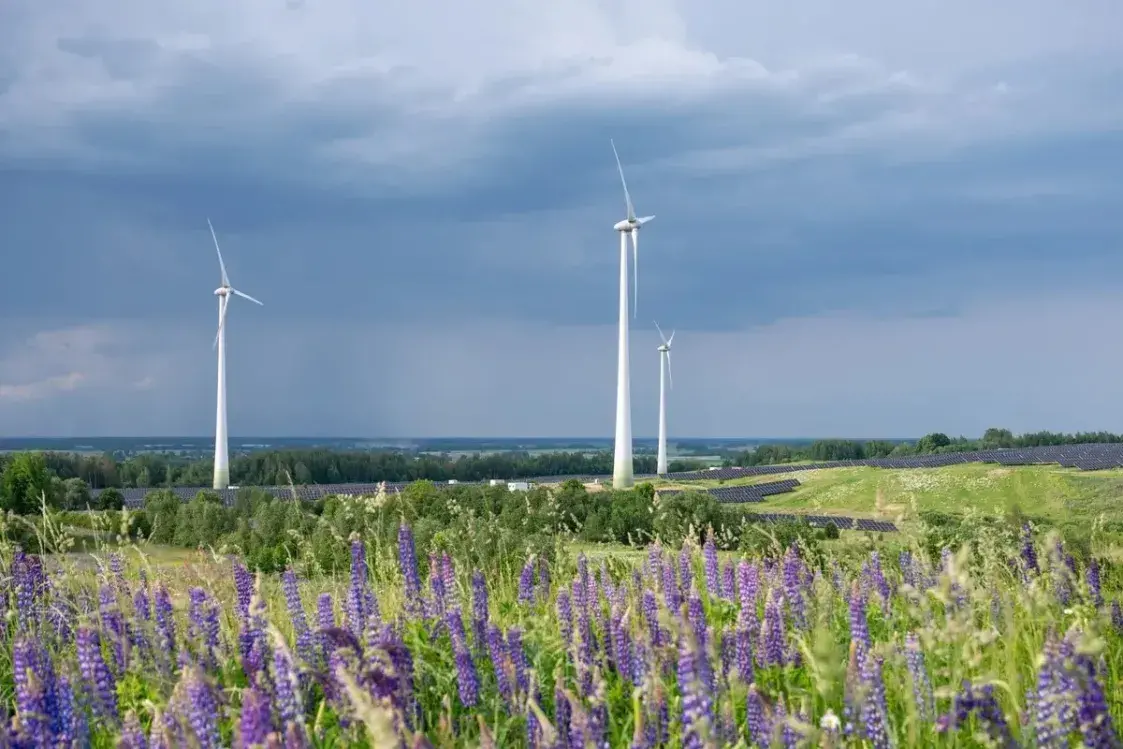 БРЭЛЛ-экзіт: як краіны Балтыі жывуць без беларускай і расійскай электраэнергіі