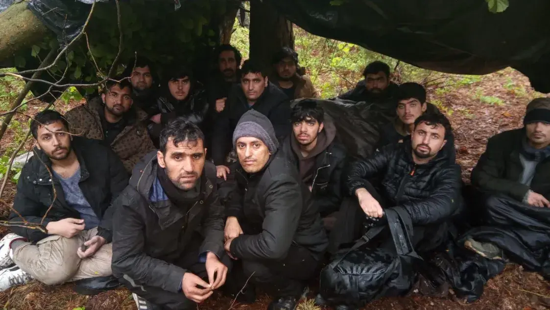 Каля двухсот афганцаў захраслі на беларуска-польскай мяжы 