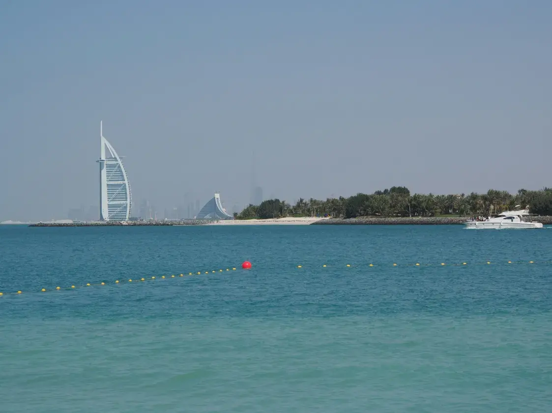 Насекомое в глазу и ёж в ноге: какая жуть происходит с белорусами в отпуске