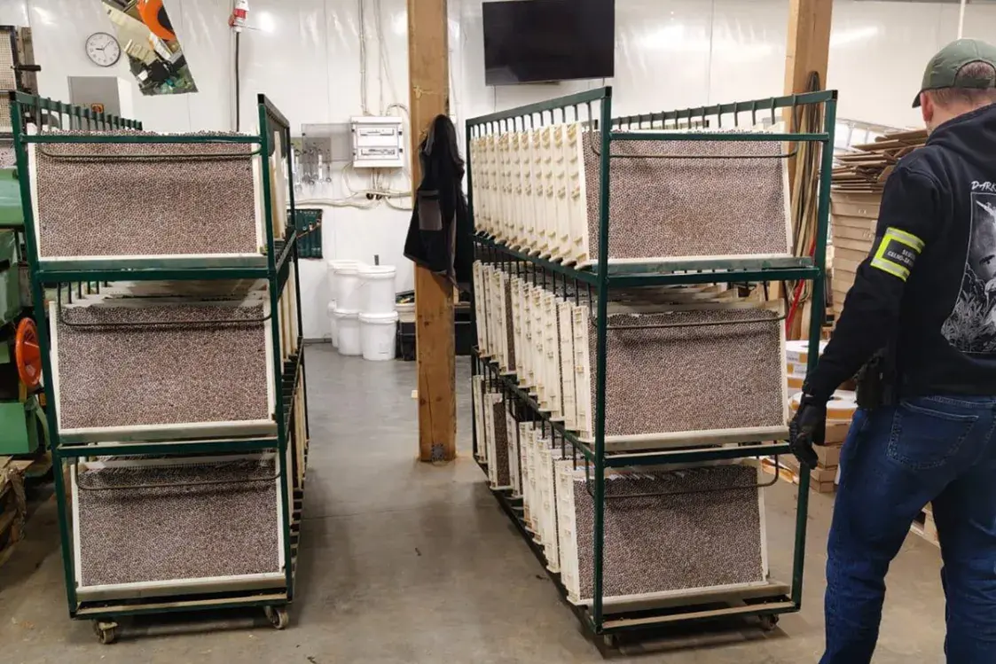 Дзесяць беларусаў затрымалі на падпольнай тытунёвай фабрыцы ў Польшчы