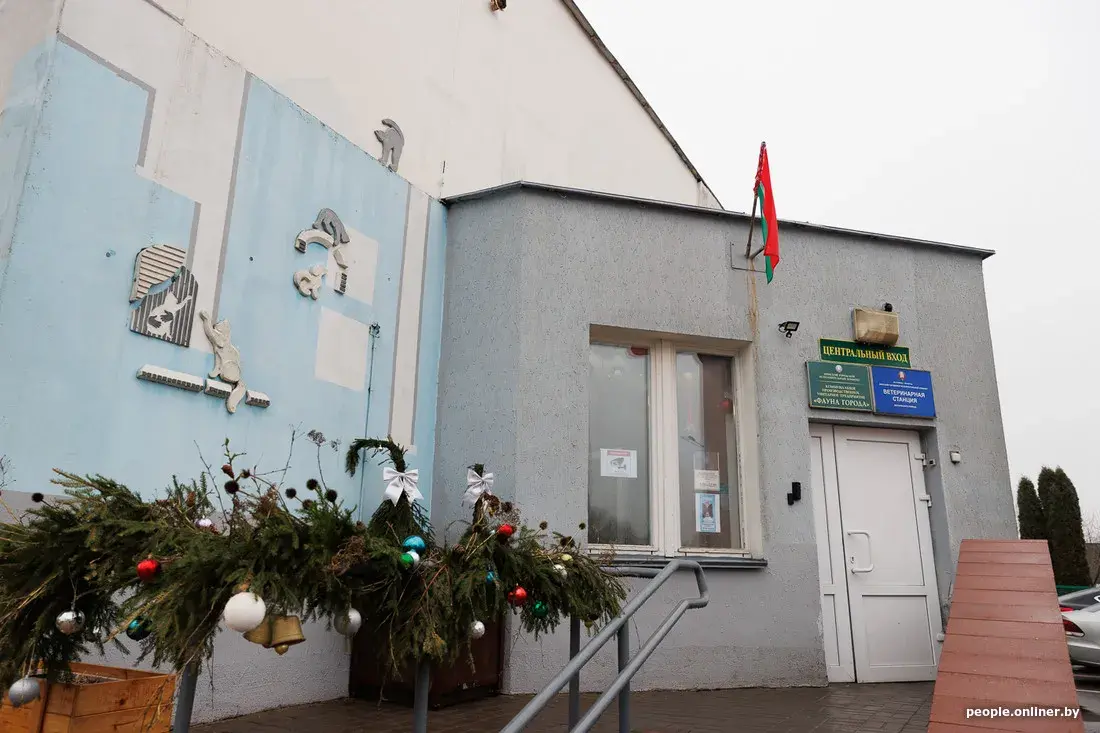 В Беларуси планируют ввести обязательное чипирование домашних животных