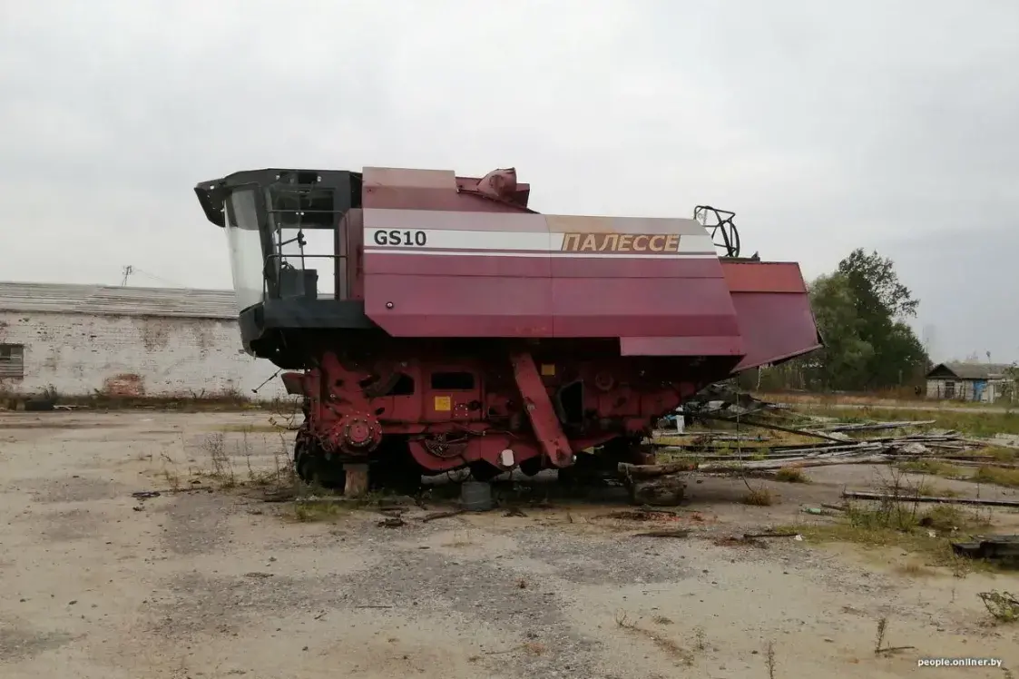 “Яблок в этом году не будет”. Эксперт — об урожае-2025