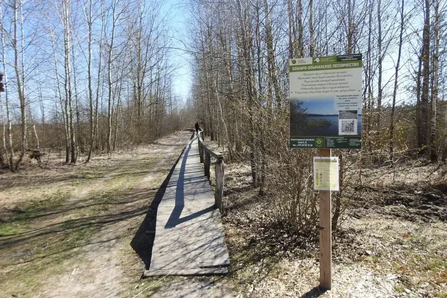 Ольманские болота