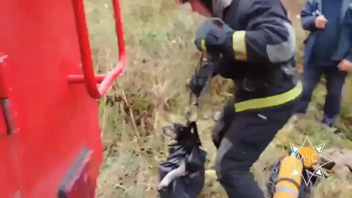 МЧС спасло собак, упавших в колодец