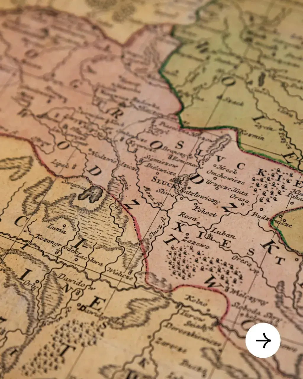 Ініцыятыва MALDZIS выкупіла карту ВКЛ Яна Няпрэцкага