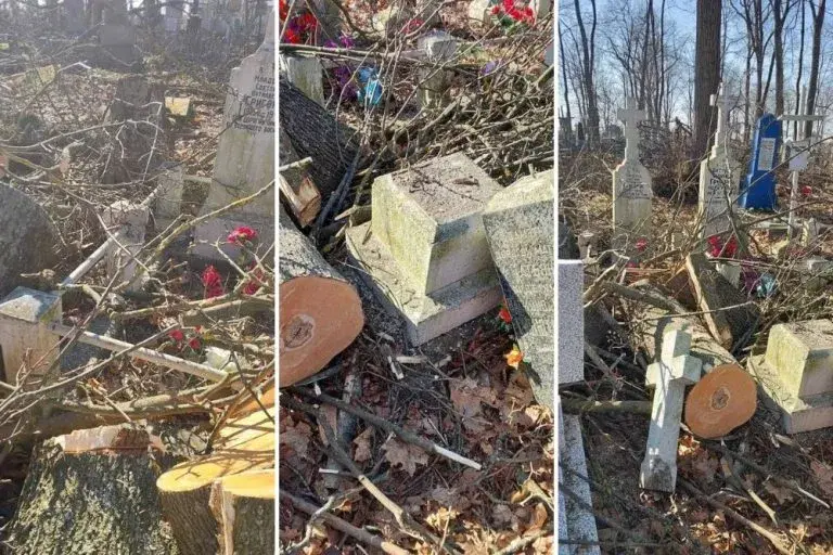 Брэсцкія дэпутаты пашкодзілі помнікі на могілках, калі пілавалі дрэвы