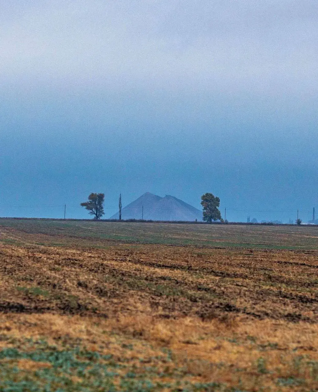 "Як ты?" Доброволец показывает свои переписки с близкими