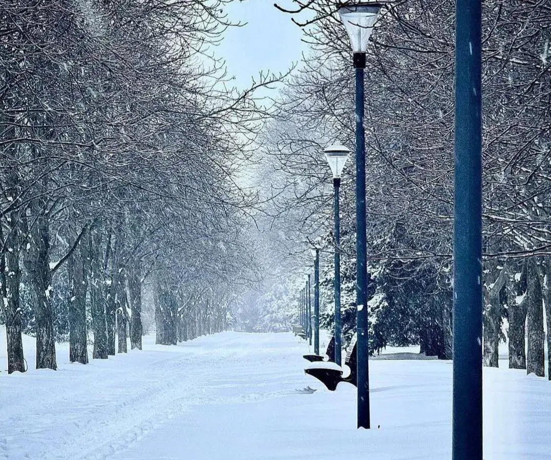 "Як ты?" Доброволец показывает свои переписки с близкими