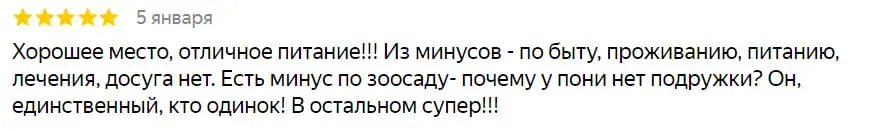 “Застой класса люкс”. Что россияне пишут об отдыхе в белорусских санаториях