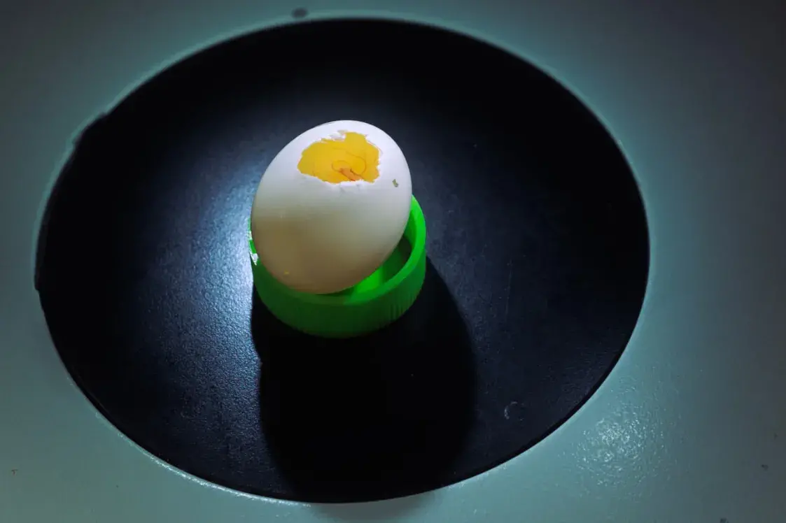 Амерыканскія навукоўцы могуць адрадзіць віды, якія шмат стагоддзяў як вымерлі