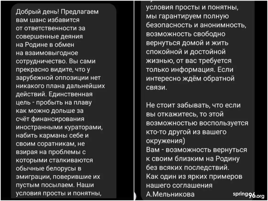Праваабаронца “Вясны” атрымала прапанову вярнуцца ў Беларусь па "прыкладзе" Мельнікавай