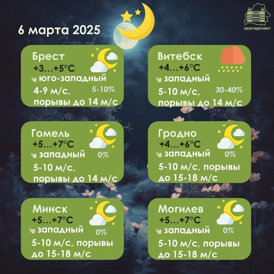 Моцны вецер чакаецца ў Беларусі ў чацвер — абвясцілі аранжавы ўзровень