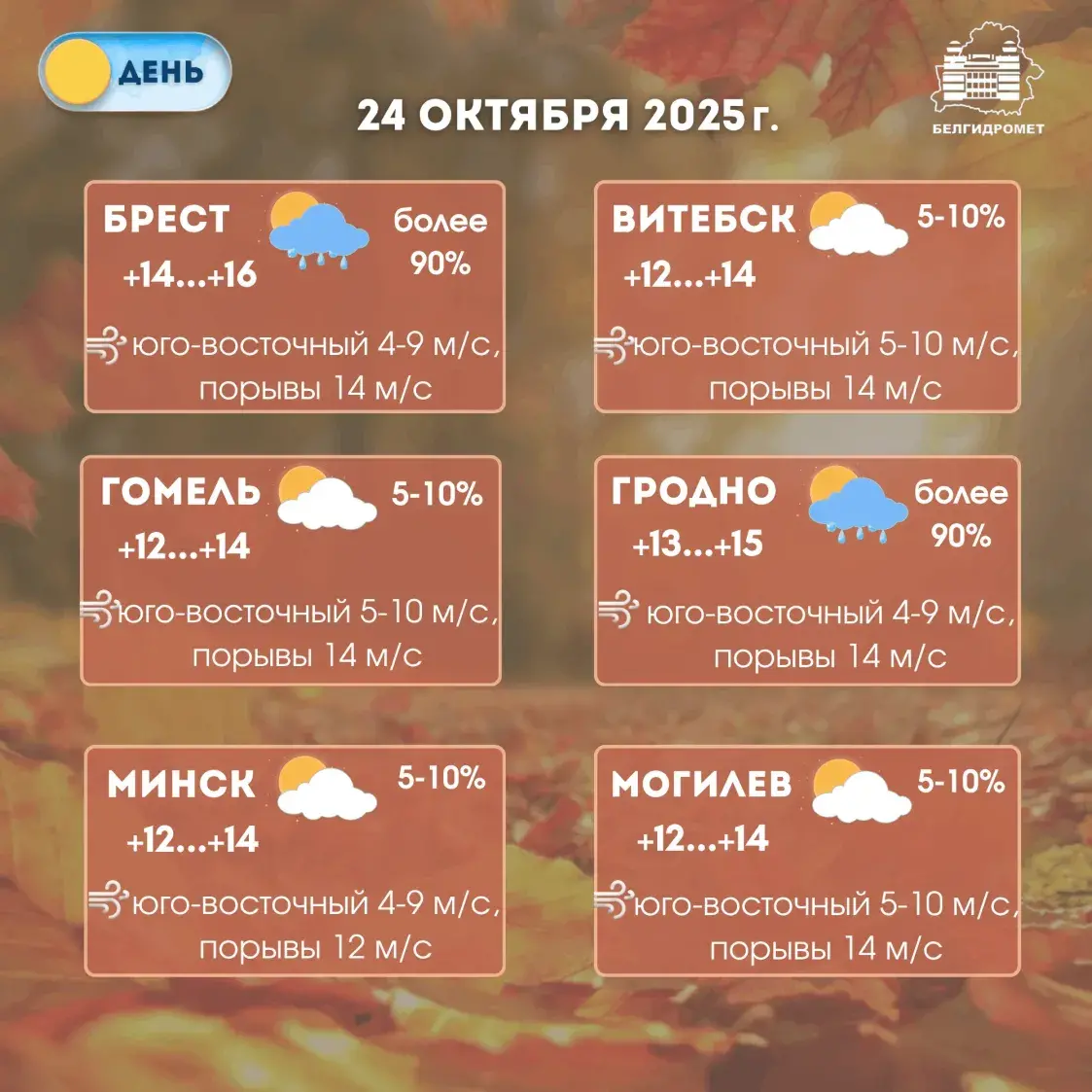 На Беларусь насоўваюцца дажджы