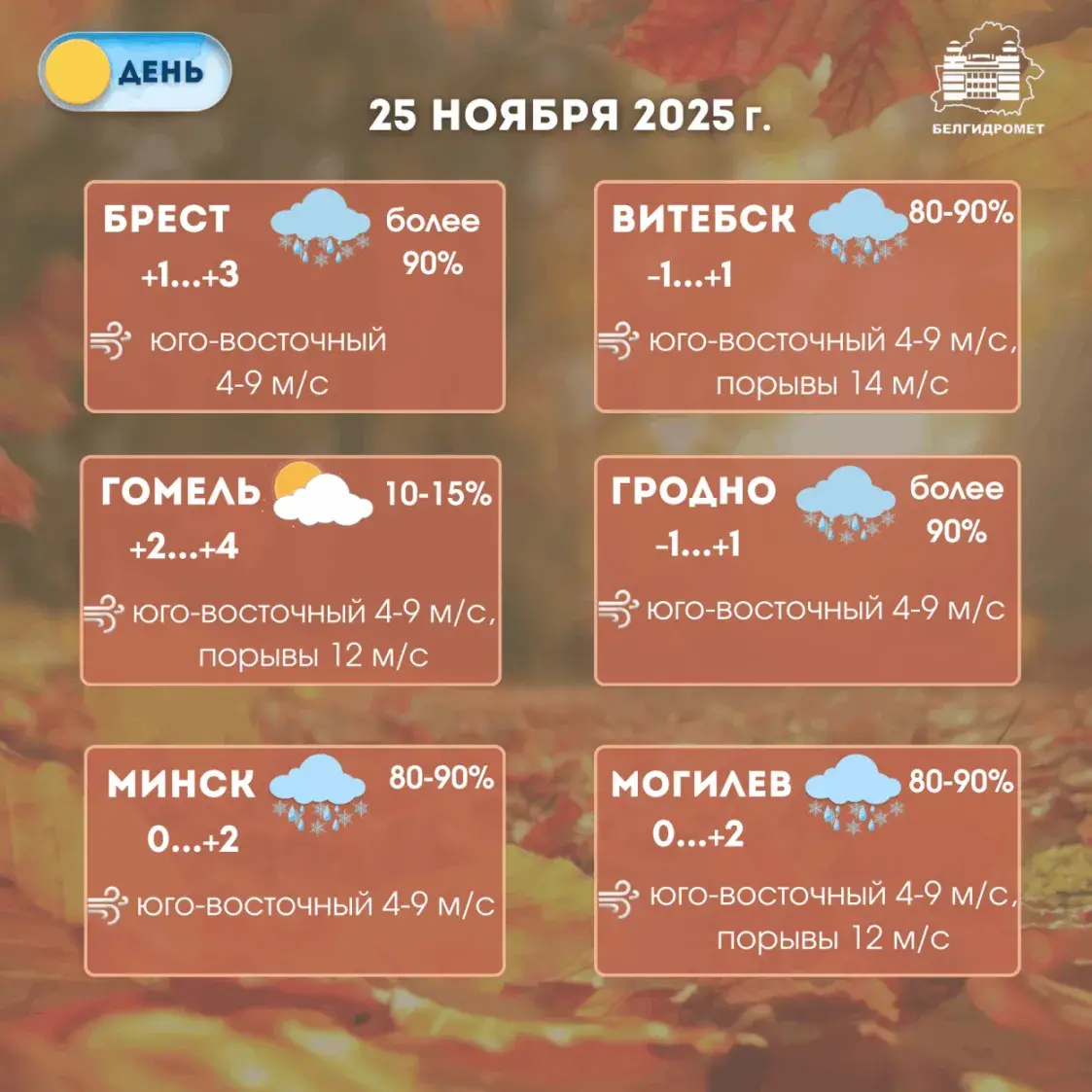 Мокры снег з пераходам у дождж прагназуюць у Беларусі ў аўторак