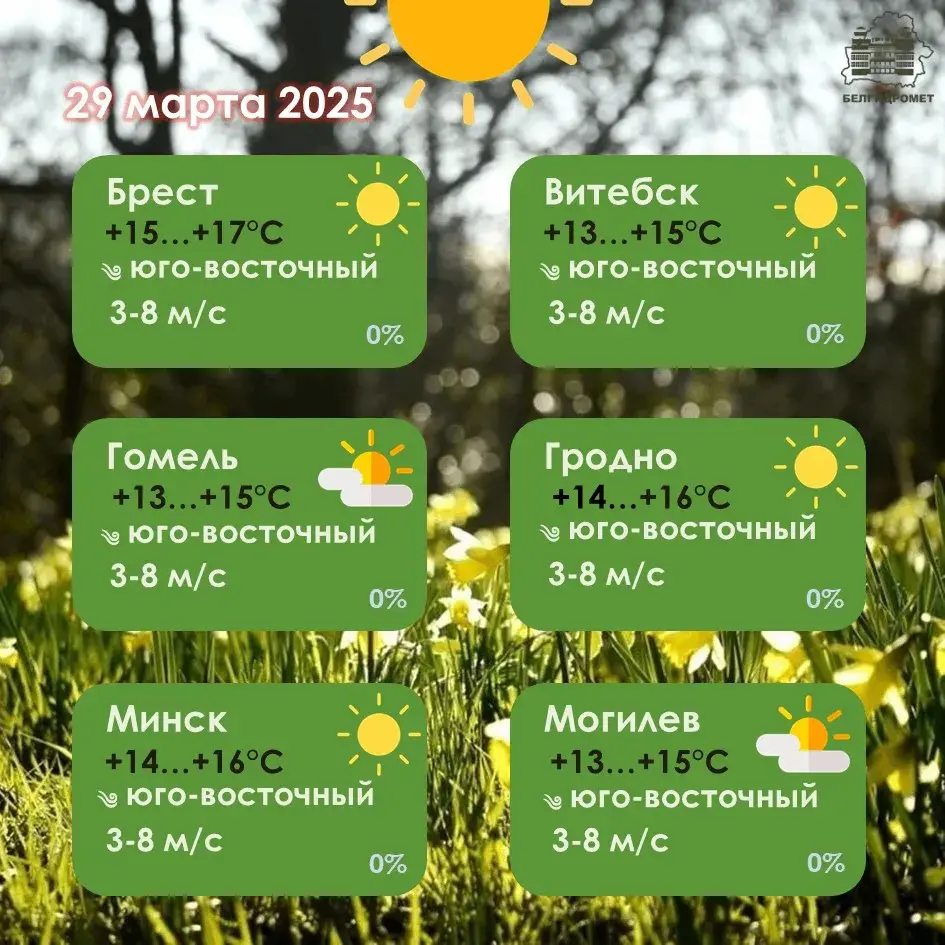 Да +17 і без ападкаў будзе ў Беларусі на выходных