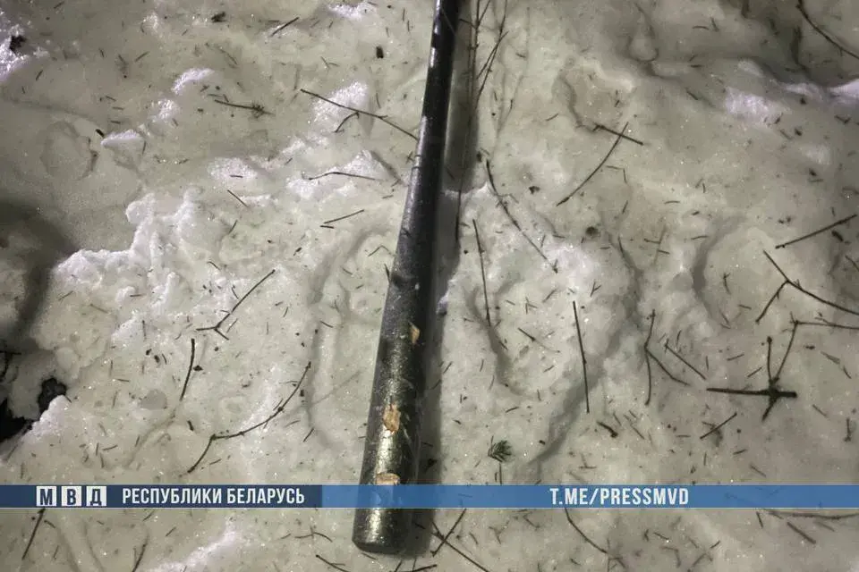 Трое замежнікаў учынілі ўзброены напад на прыватны дом пад Мінскам