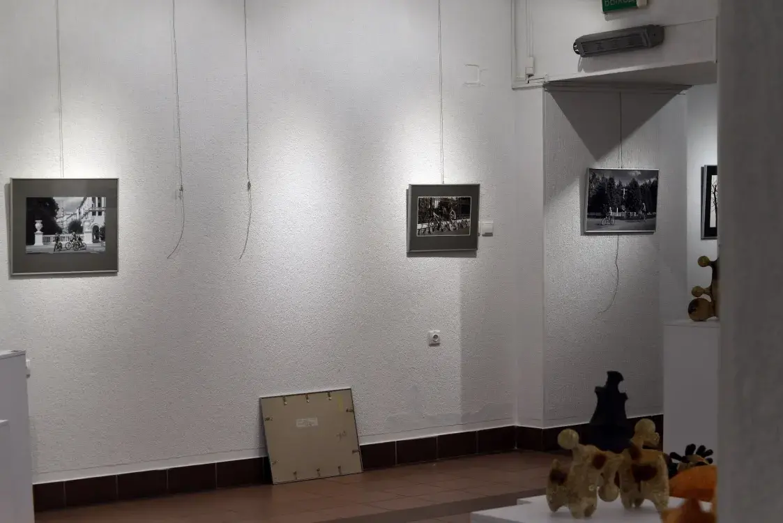 Працы фотамастака Вядрэнкі загадалі зняць з выставы ў мінскай галерэі