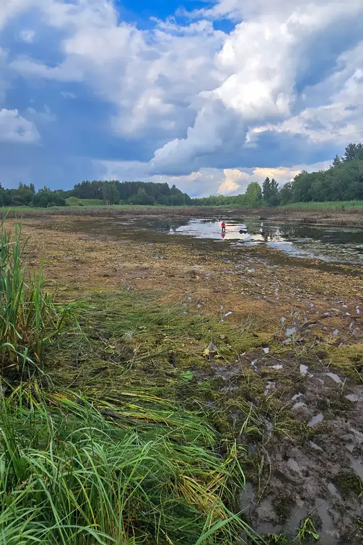 У Лепельскім раёне бабёр асушыў цэлае возера