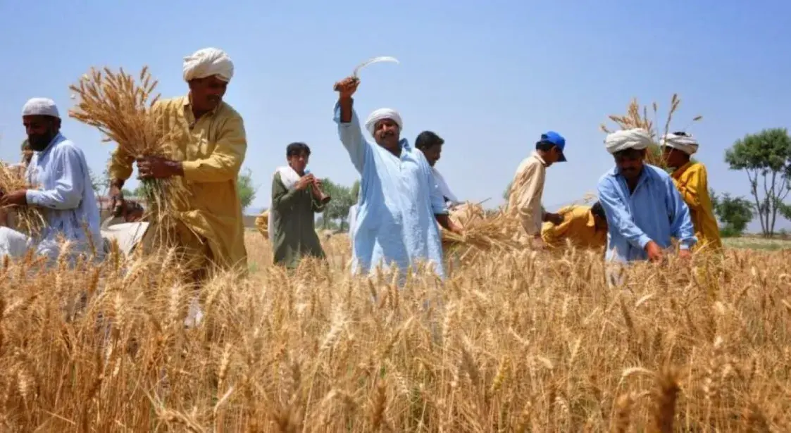 Приезд пакистанцев может замедлить рост зарплат в Беларуси — экономистка