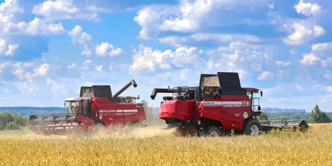 “Яблок в этом году не будет”. Эксперт — об урожае-2025