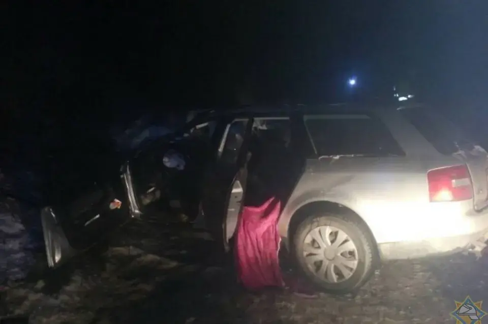 У Мастоўскім раёне лось трапіў пад Audi, загінула 18-гадовая дзяўчына