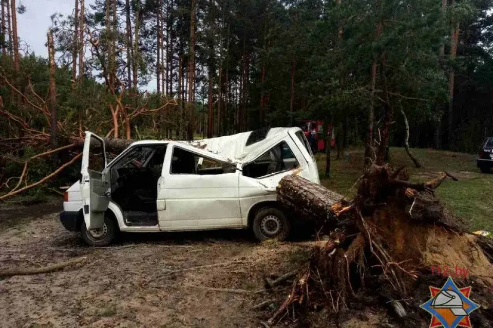 Падрабязнасці трагедыі ў лесе пад Вілейкай, дзе дрэва ўпала на мікрааўтобус