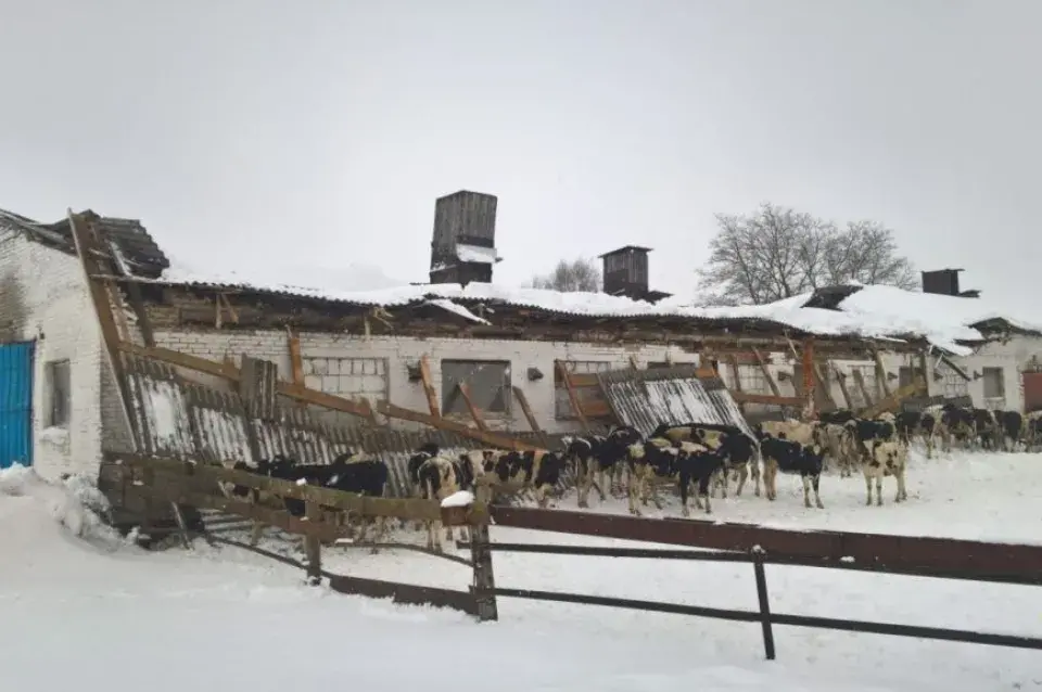 У Кіраўскім раёне абваліўся дах у кароўніку — не вытрываў снегу