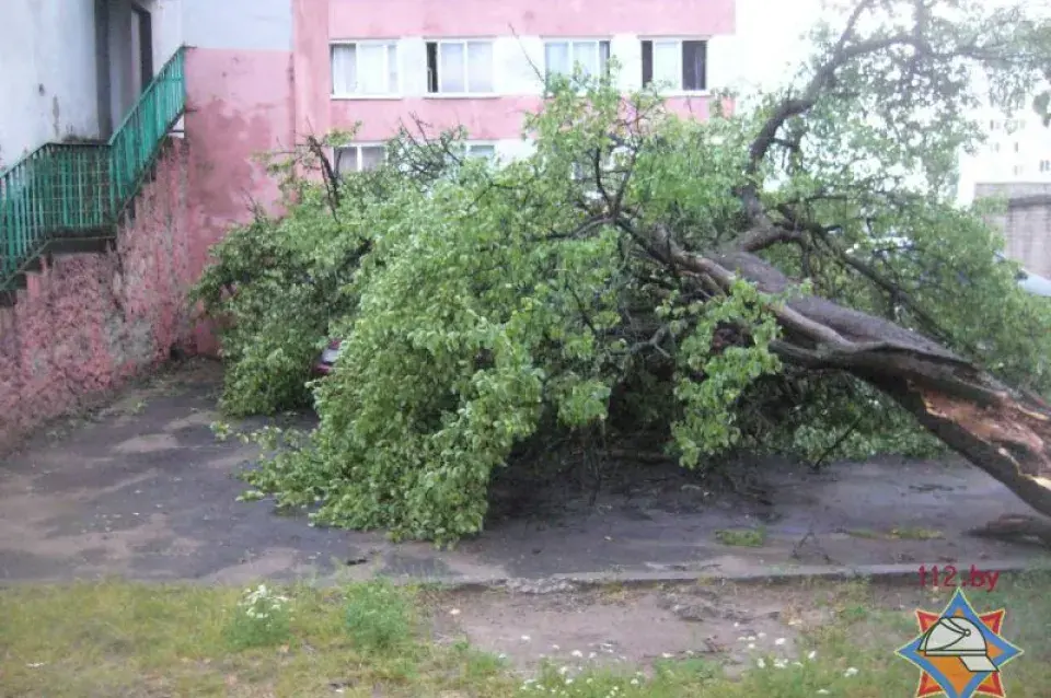 З-за шквалістага ветру без святла засталіся 262 населеныя пункты Беларусі