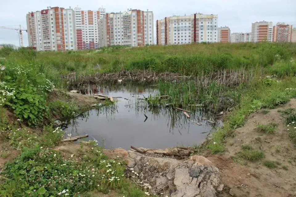 У Віцебску ў катлаване патануў сямігадовы хлопчык (фота)