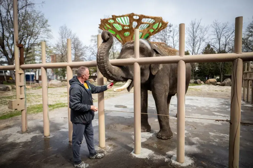 Как оживает Киевский зоопарк