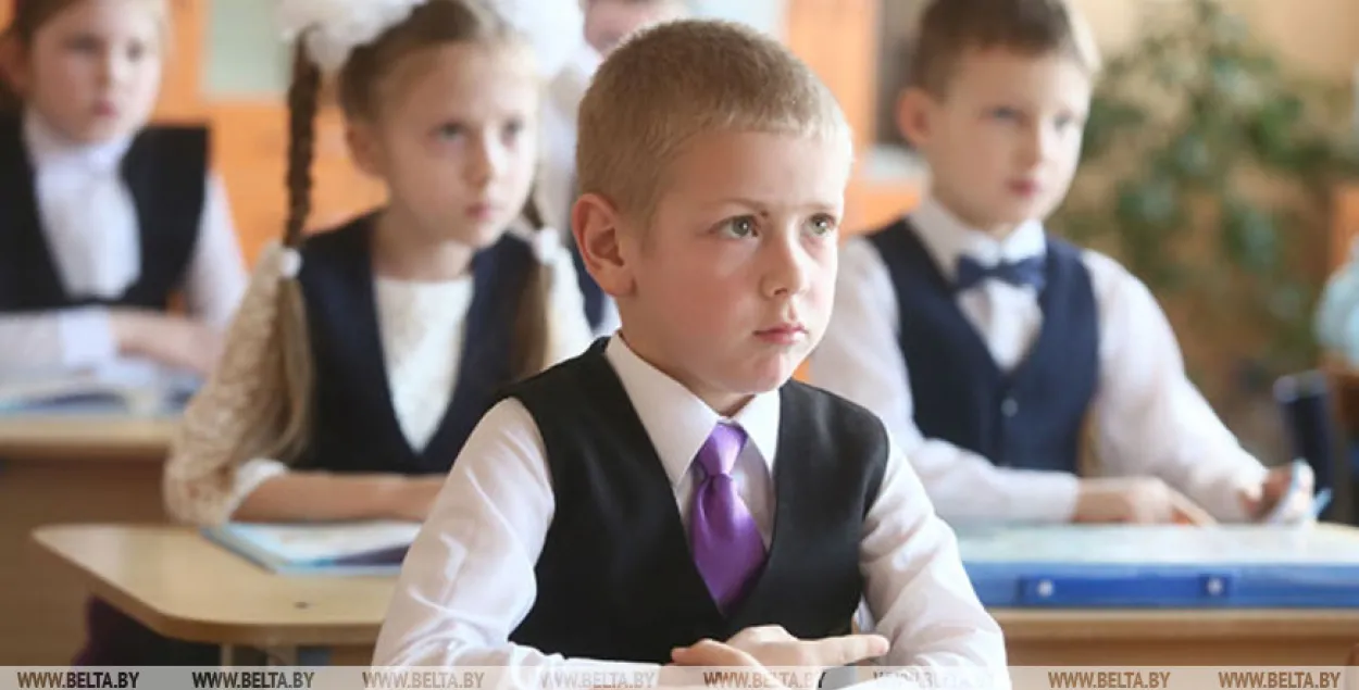 Мінадукацыі Беларусі: школы наведвае 87-88% дзяцей