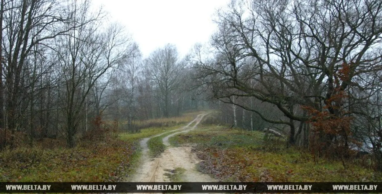 У пятніцу ў Беларусі будзе да +2 і без ападкаў