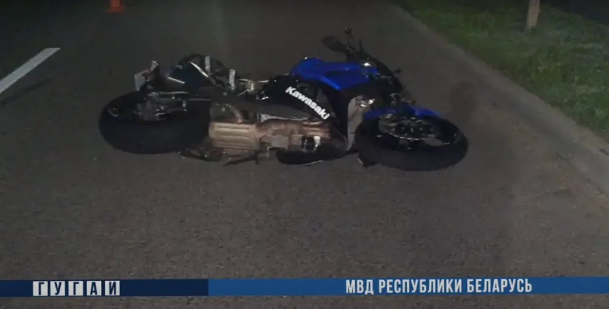 В Могилёве погиб мотоциклист от столкновения с лосем 