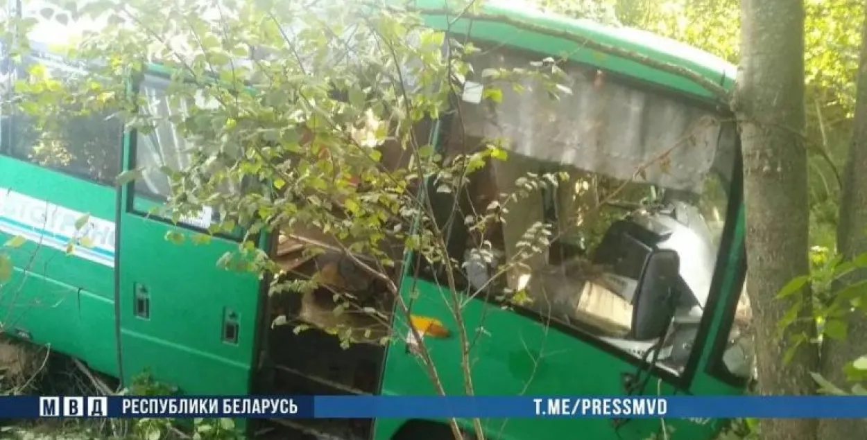 Автобус врезался в дерево / @pressmvd​