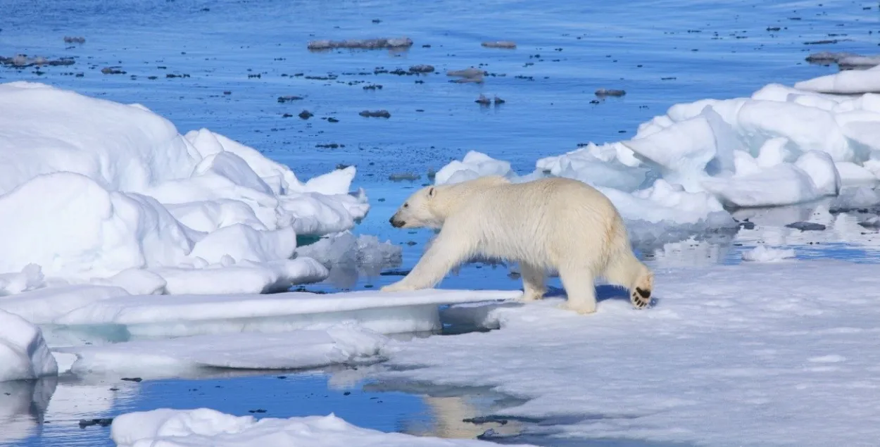 Сёлета ў Арктыцы зафіксаваныя самыя высокія тэмпературы за апошнія 115 гадоў