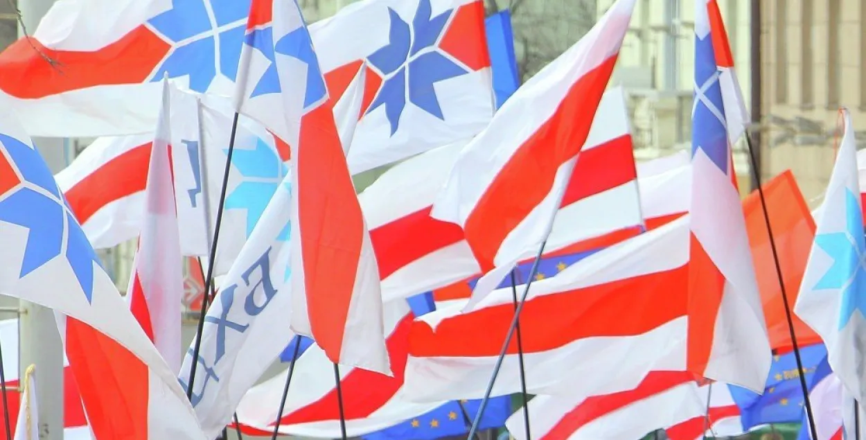 Бело-красно-белый флаг и флаги партии БХД